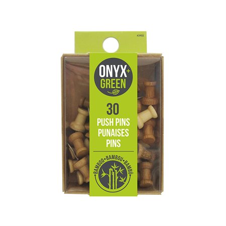 30 punaises en bambou