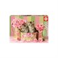 500 pieces puzzle - Kittens with Roses