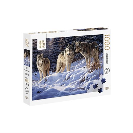 Casse-tête : Stratégie (1000 Mcx)