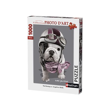 Casse-tête 1000 morceaux Téo Jasmin