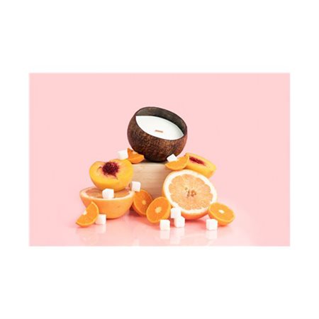 Coco-Chandelle - Sugar Bloom