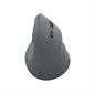 Souris sans fil BlueDiamond Track Ergo - Grise