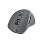 Souris sans fil BlueDiamond Track Confort - Grise