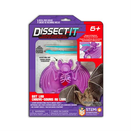 Dissect It - Chauve-souris au labo