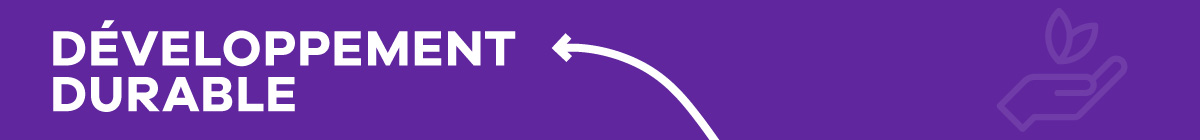 hamster-megaburo-developpement-durable