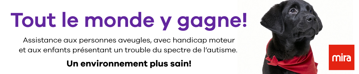 Hamster | Mégaburo - Récupération de cartouches